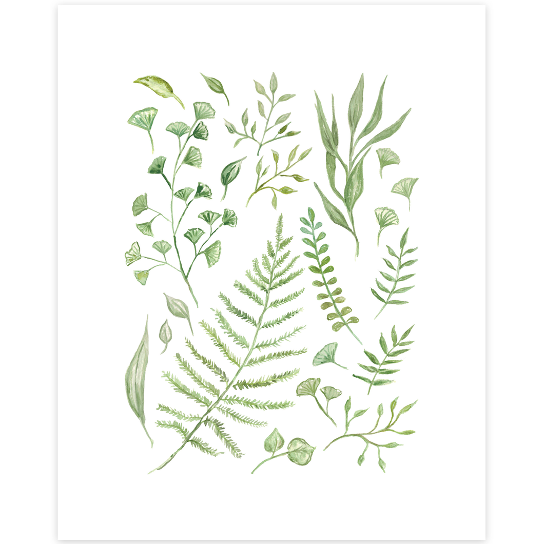Fern Leaves Print